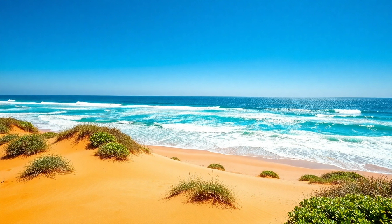 Experience breathtaking coastal scenery in Australia with golden sands and vibrant vegetation.